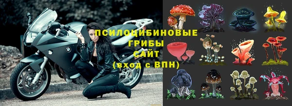 мет Абаза